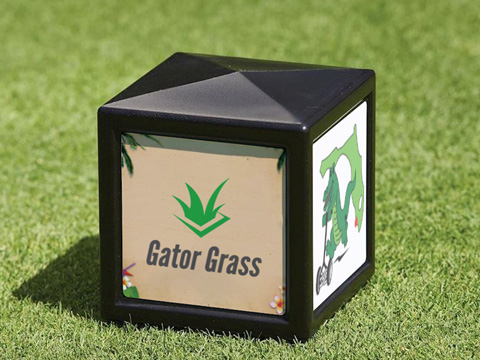 Golf Tee Markers on Course